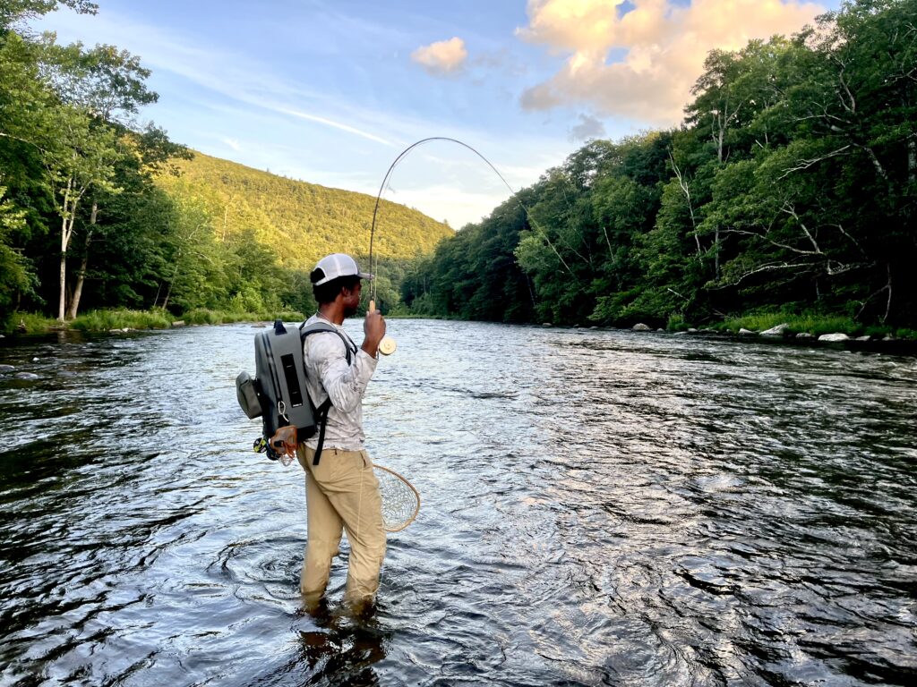 Esopus Creek rainbow trout